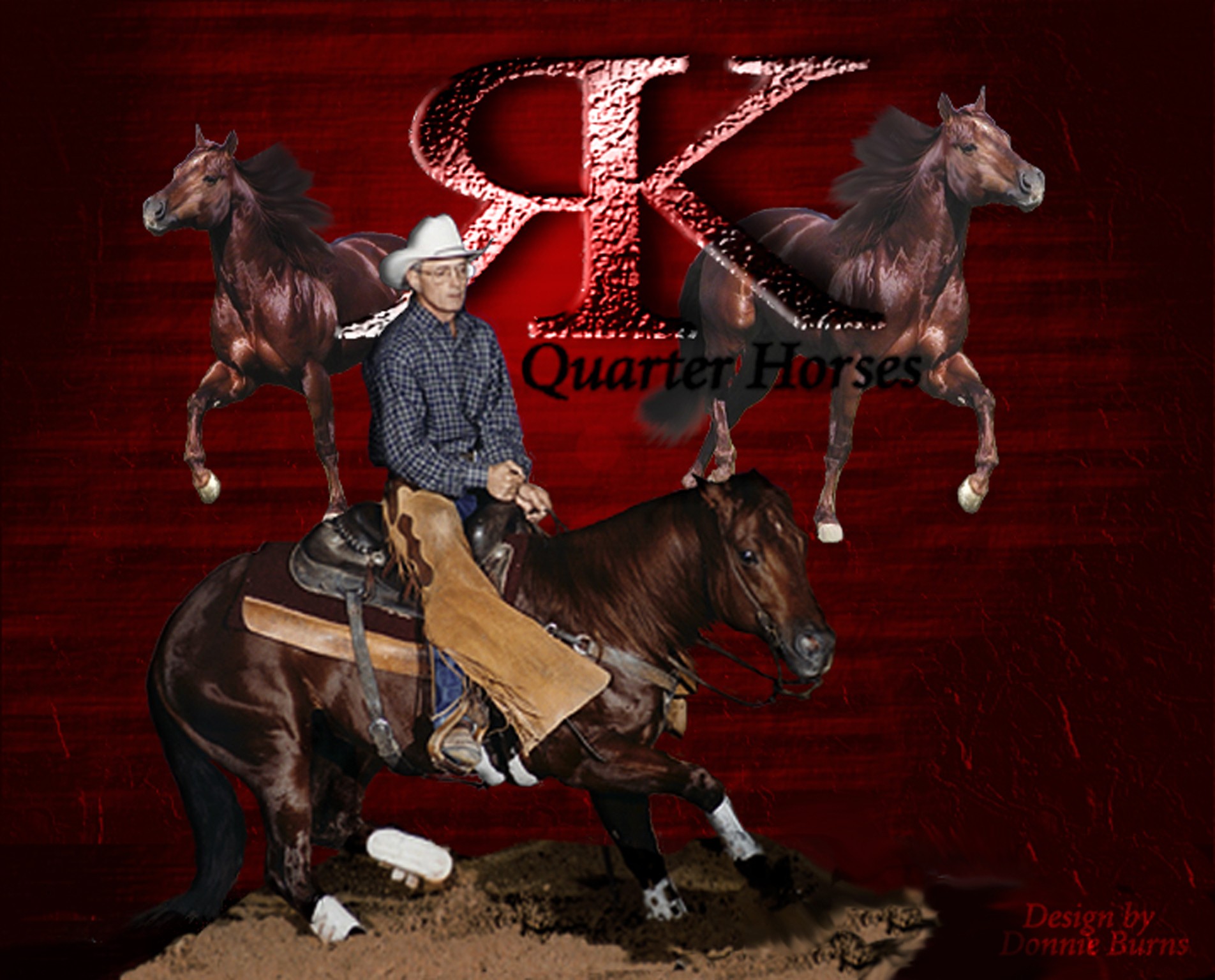 Rk Quarter Horses main photo